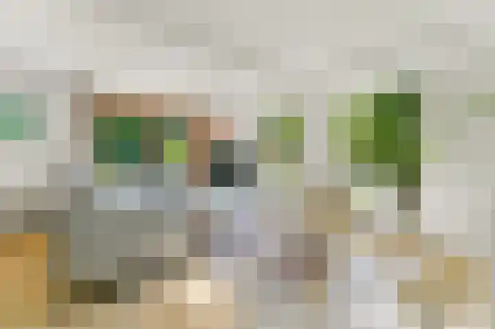 Haantje 22 Rijswijk thumbnail 8