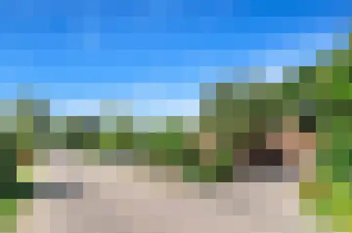 Haantje 22 Rijswijk thumbnail 80