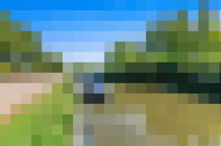 Haantje 22 Rijswijk thumbnail 81