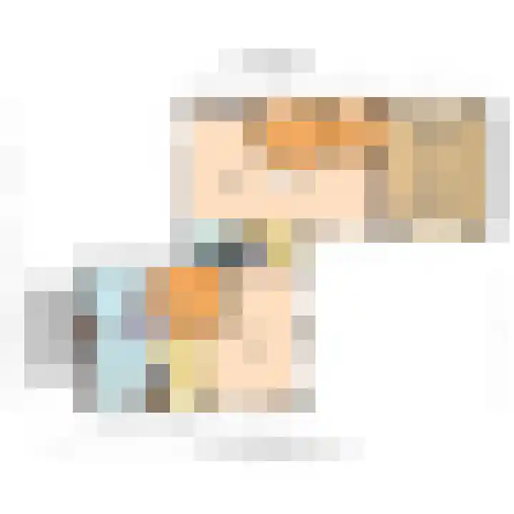 Haantje 22 Rijswijk thumbnail 88