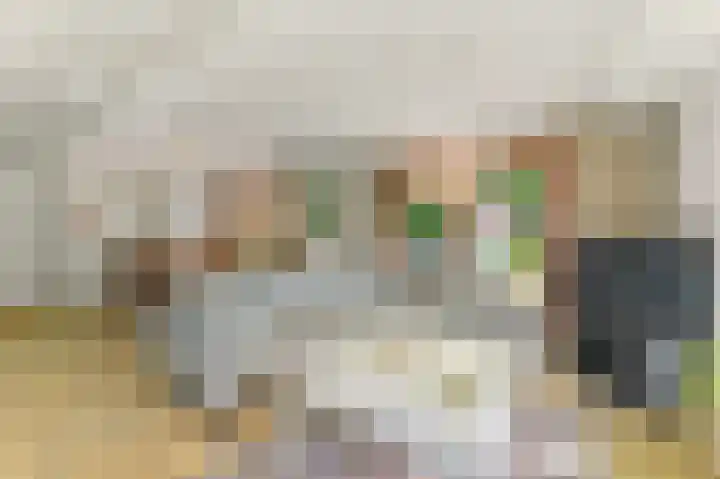 Haantje 22 Rijswijk thumbnail 9