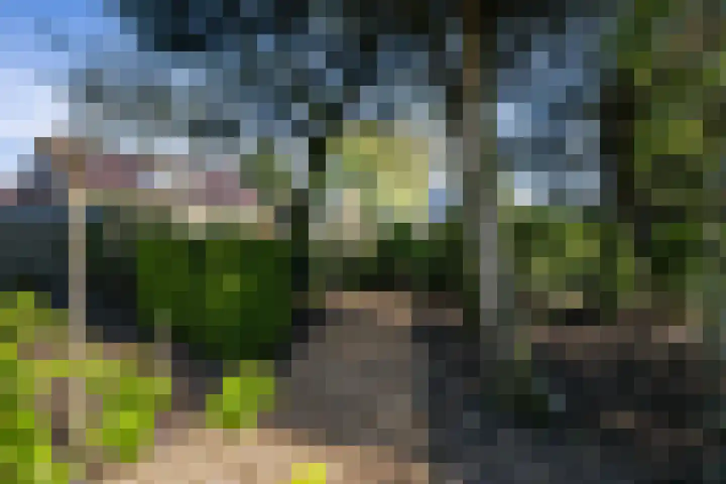 Haantje 24 c Rijswijk thumbnail 13
