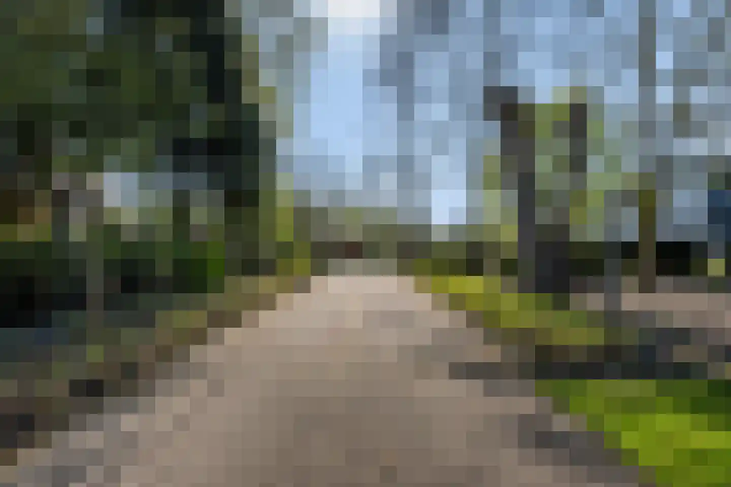 Haantje 24 c Rijswijk thumbnail 14