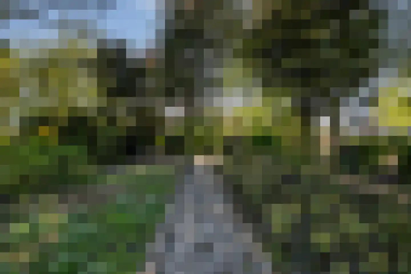 Haantje 24 c Rijswijk thumbnail 26