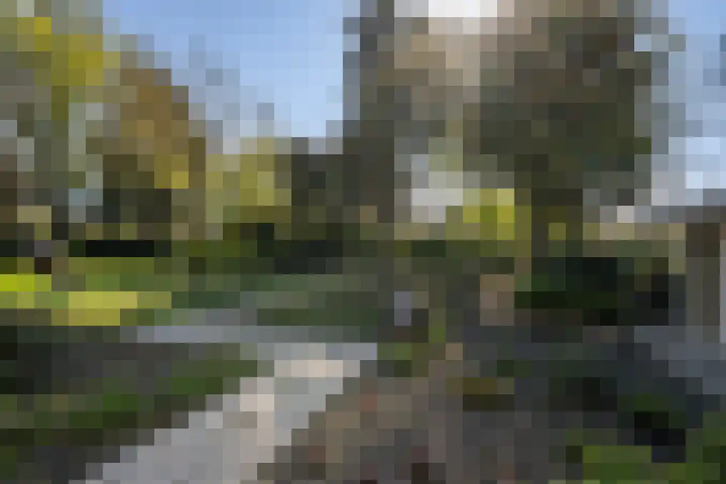 Haantje 24 c Rijswijk thumbnail 33