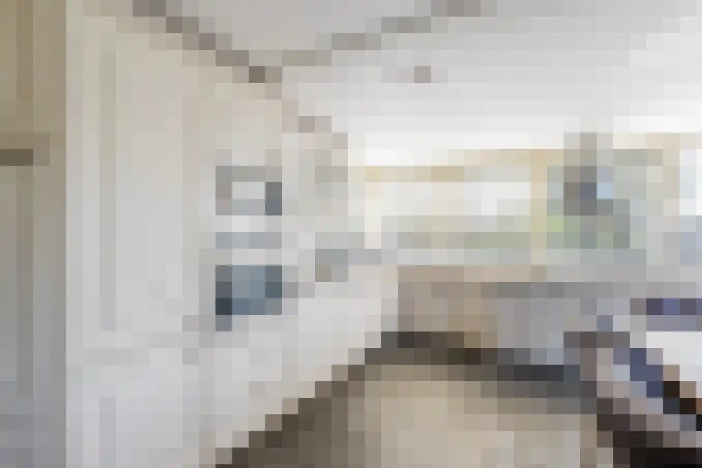 Haantje 24 c Rijswijk thumbnail 37