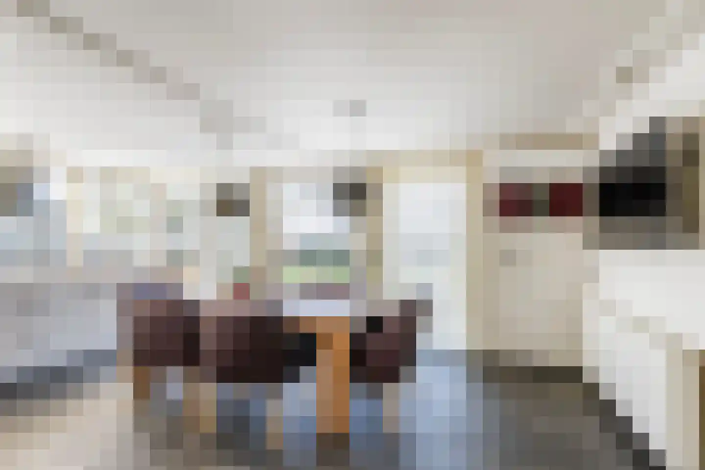 Haantje 24 c Rijswijk thumbnail 38