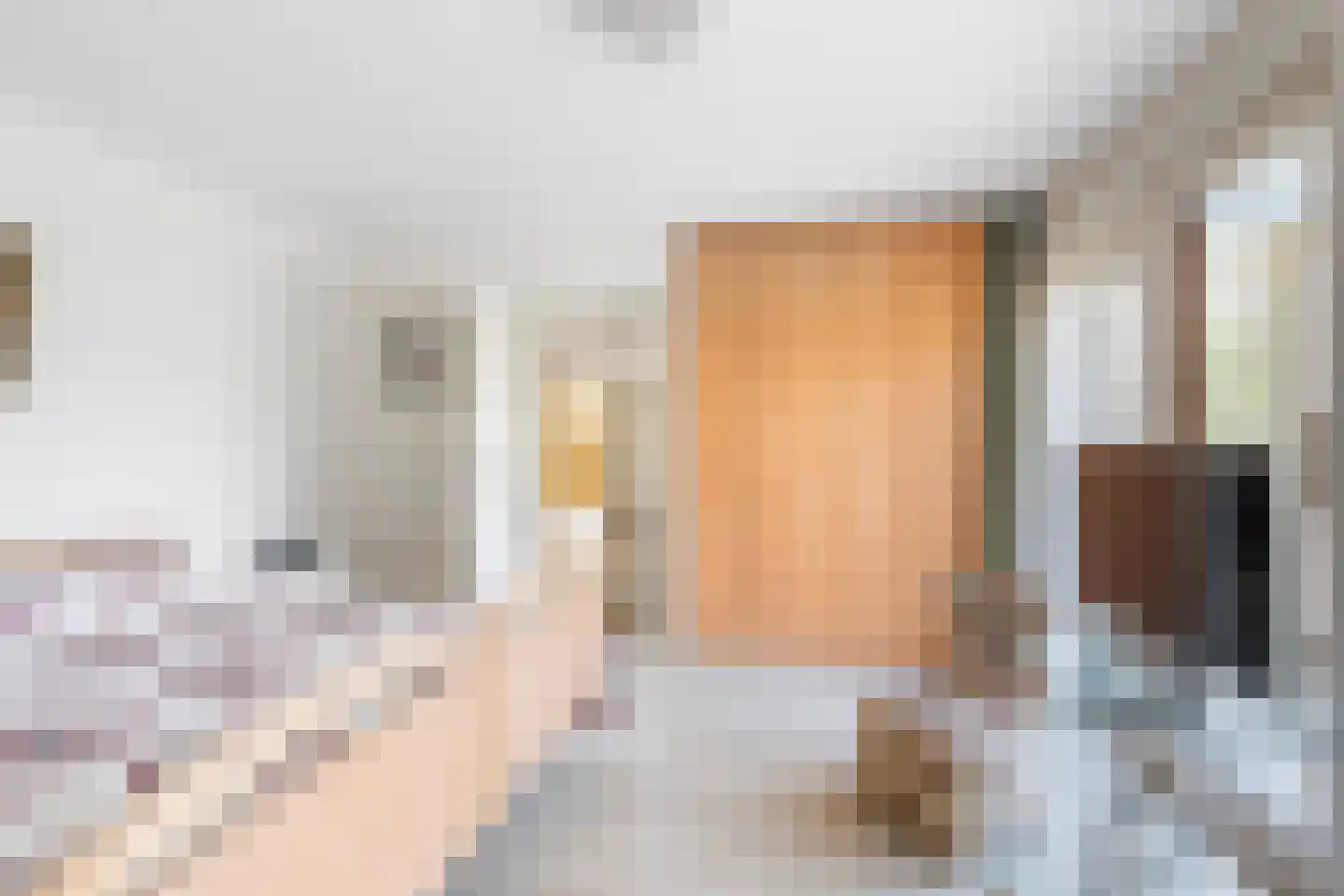 Haantje 24 c Rijswijk thumbnail 44