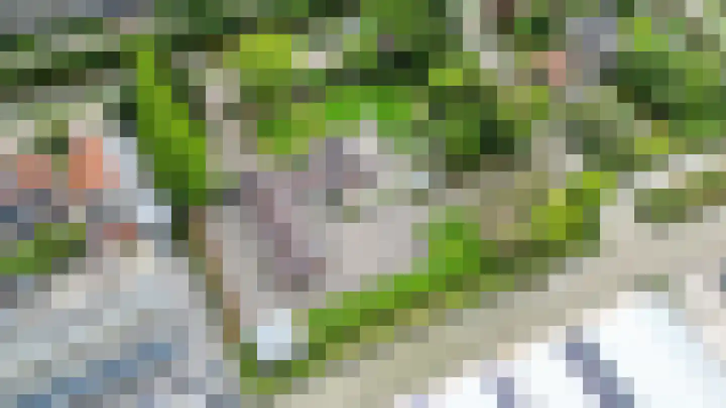 Haantje 24 c Rijswijk thumbnail 76