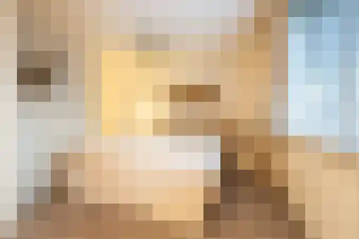 Haantjesvliet 12 Mijnsheerenland thumbnail 10