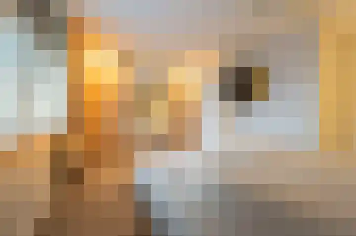 Haantjesvliet 12 Mijnsheerenland thumbnail 11