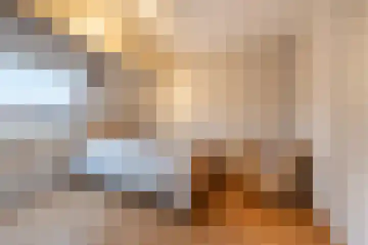 Haantjesvliet 12 Mijnsheerenland thumbnail 12