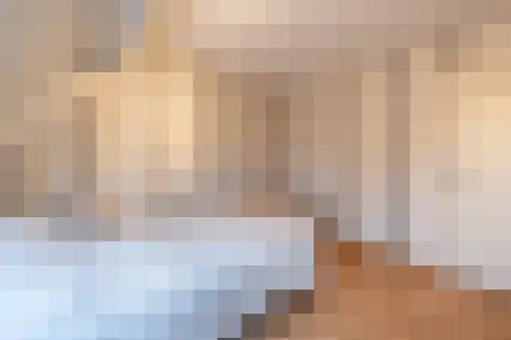 Haantjesvliet 12 Mijnsheerenland thumbnail 13