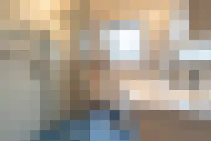 Haantjesvliet 12 Mijnsheerenland thumbnail 14