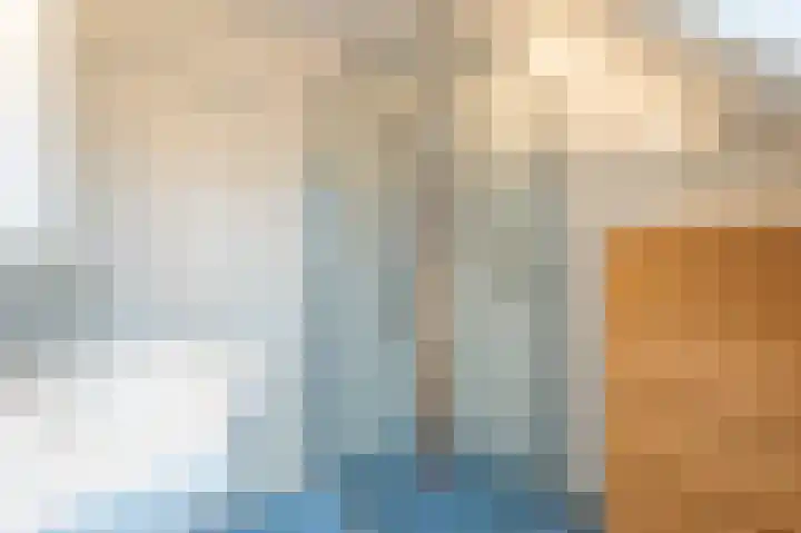 Haantjesvliet 12 Mijnsheerenland thumbnail 15