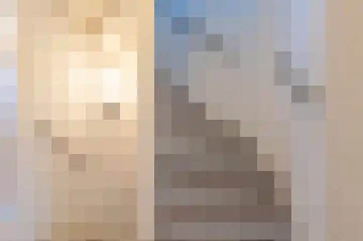 Haantjesvliet 12 Mijnsheerenland thumbnail 16