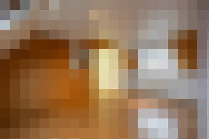 Haantjesvliet 12 Mijnsheerenland thumbnail 18