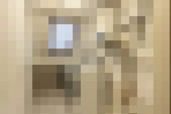 Haantjesvliet 12 Mijnsheerenland thumbnail 19