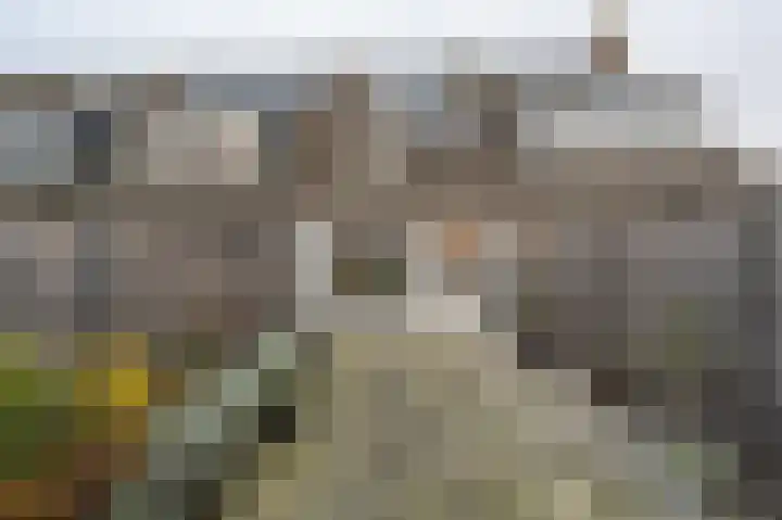 Haantjesvliet 12 Mijnsheerenland thumbnail 22
