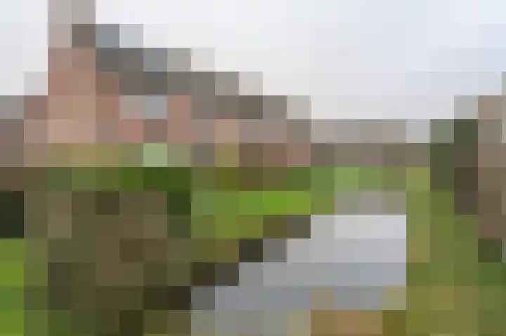 Haantjesvliet 12 Mijnsheerenland thumbnail 23