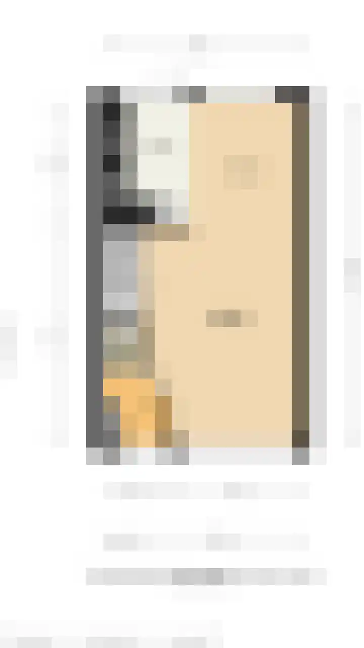 Haantjesvliet 12 Mijnsheerenland thumbnail 24