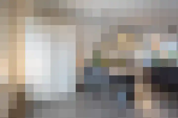 Haantjesvliet 12 Mijnsheerenland thumbnail 4