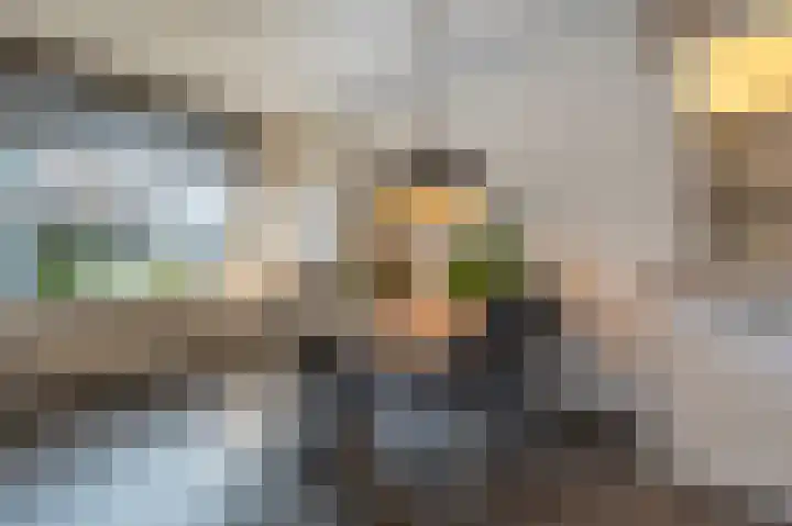 Haantjesvliet 12 Mijnsheerenland thumbnail 5