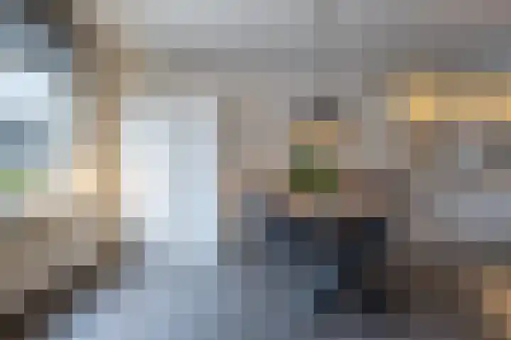 Haantjesvliet 12 Mijnsheerenland thumbnail 6