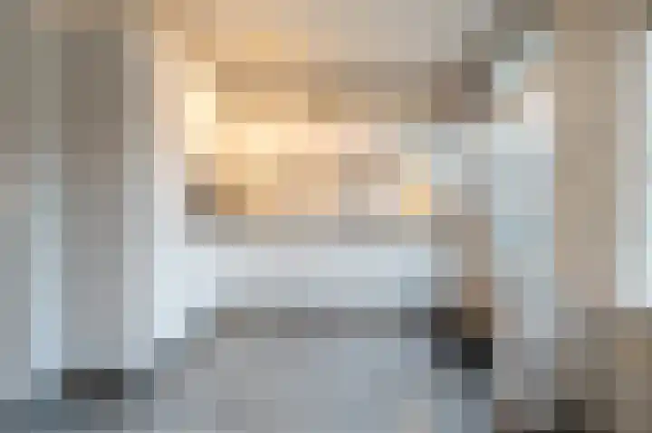 Haantjesvliet 12 Mijnsheerenland thumbnail 7