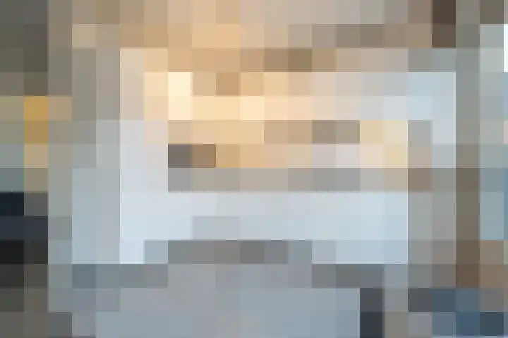 Haantjesvliet 12 Mijnsheerenland thumbnail 8