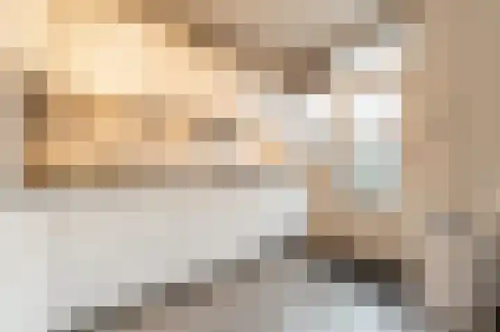 Haantjesvliet 12 Mijnsheerenland thumbnail 9
