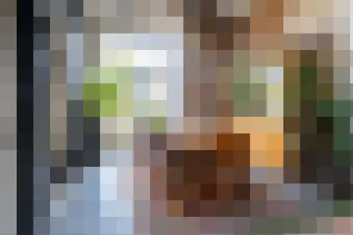 Haanweg 11 Landgraaf thumbnail 12
