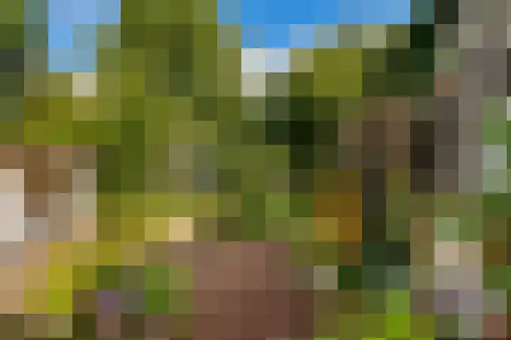 Haanweg 11 Landgraaf thumbnail 24