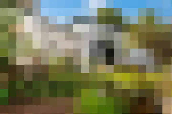 Haanweg 11 Landgraaf thumbnail 25