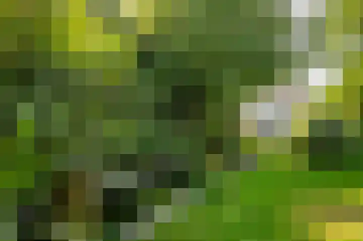 Haanweg 11 Landgraaf thumbnail 26