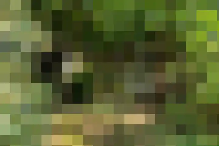 Haanweg 11 Landgraaf thumbnail 27