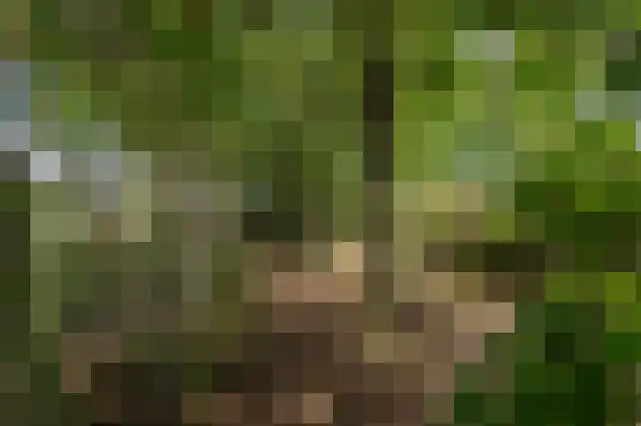 Haanweg 11 Landgraaf thumbnail 28