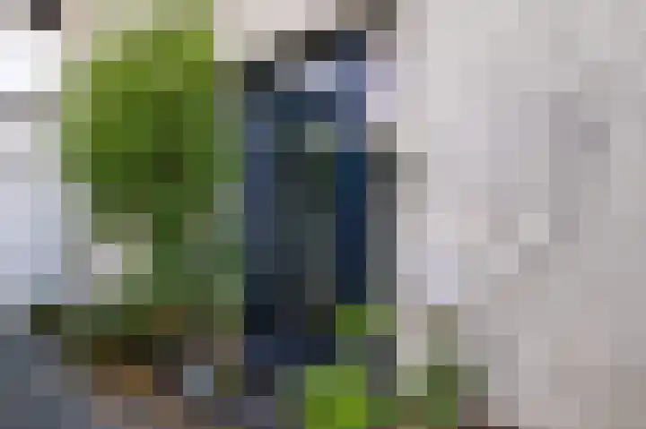 Haanweg 11 Landgraaf thumbnail 29