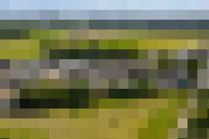 Haanweg 11 Landgraaf thumbnail 32