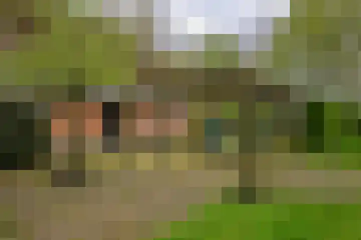 Haanwijk 5 Sint-Michielsgestel thumbnail 17
