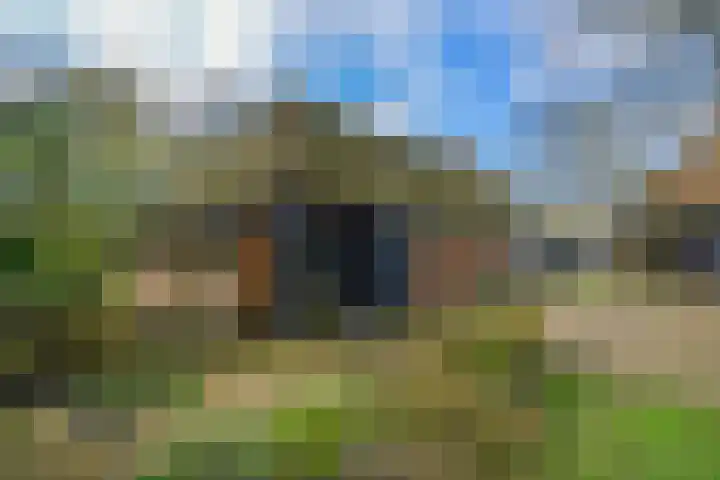 Haanwijk 5 Sint-Michielsgestel thumbnail 8