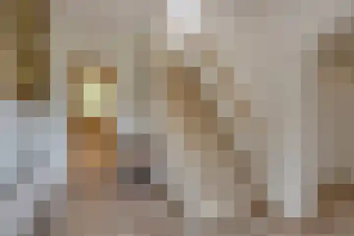Haanwijk 7 Harmelen thumbnail 11