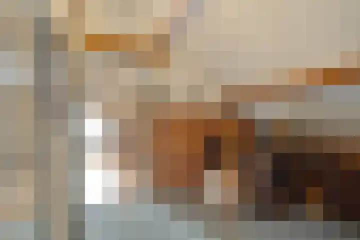 Haanwijk 7 Harmelen thumbnail 37