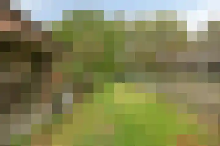 Haanwijk 7 Harmelen thumbnail 47
