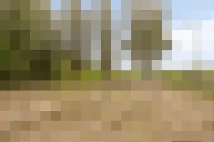 Haanwijk 7 Harmelen thumbnail 48