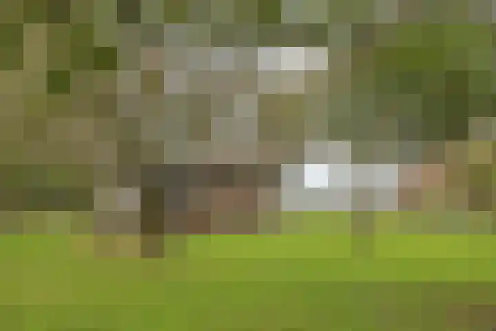 Haanwijk 7 Harmelen thumbnail 49
