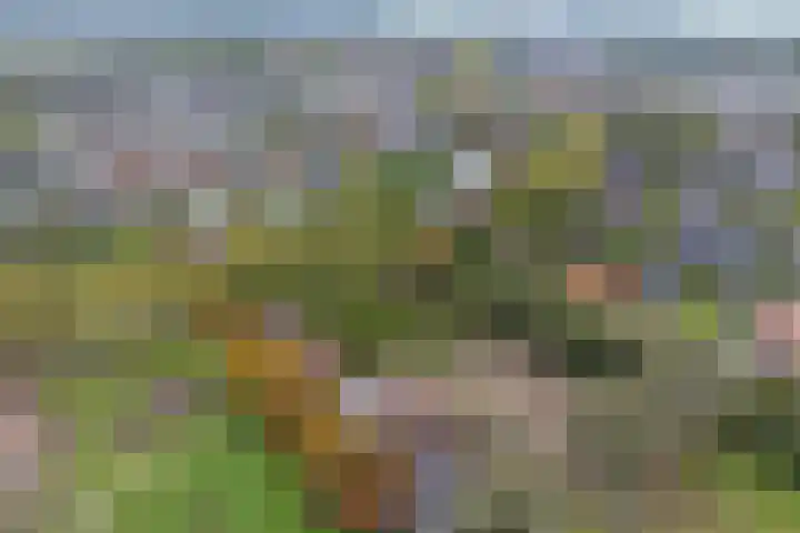 Haanwijk 7 Harmelen thumbnail 60