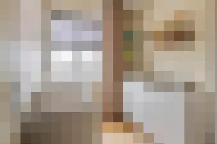 Haarakker 25 Rhenoy thumbnail 12