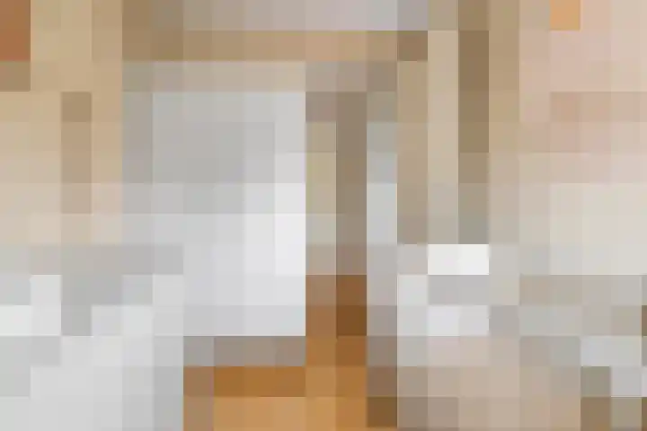 Haarakker 25 Rhenoy thumbnail 13