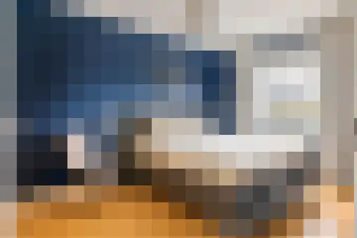 Haarakker 25 Rhenoy thumbnail 14